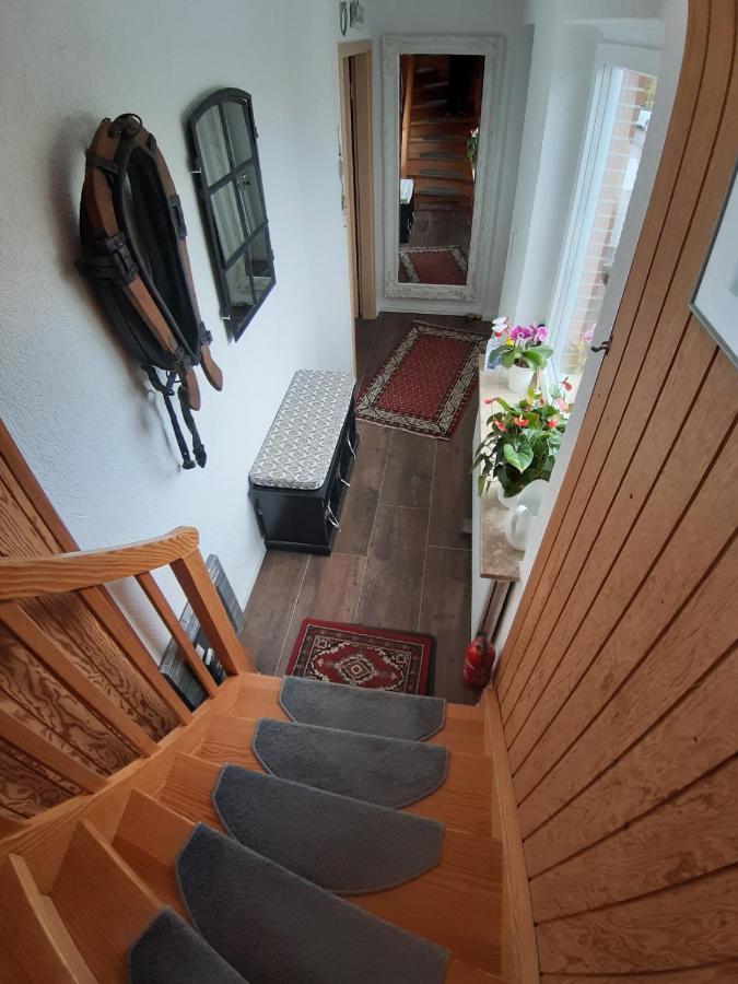 Ferienwohnung Nesthaekchen Hanerau-Hademarschen Exteriér fotografie
